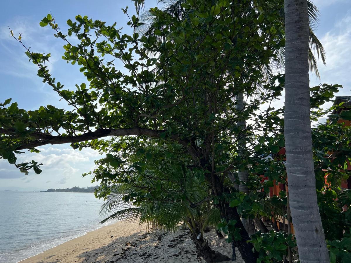 Wish Ko Samui